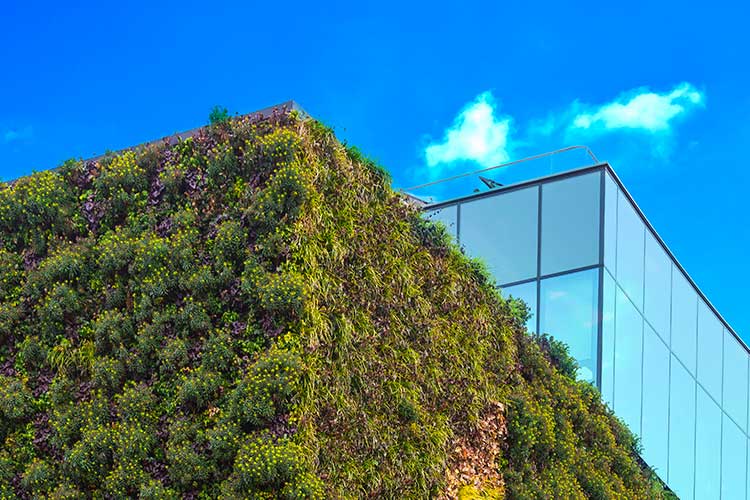 North America's largest living wall