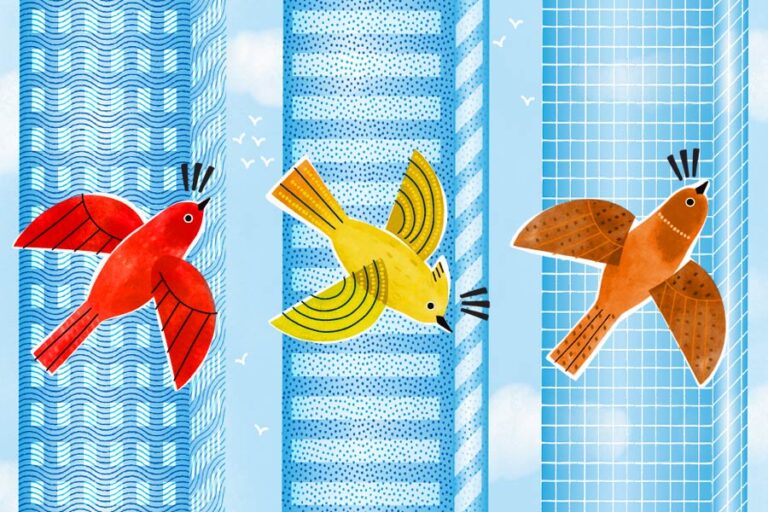 BirdFriendly_Feature_R1