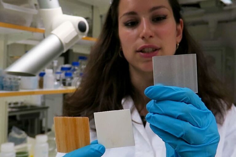 Transparent Wood