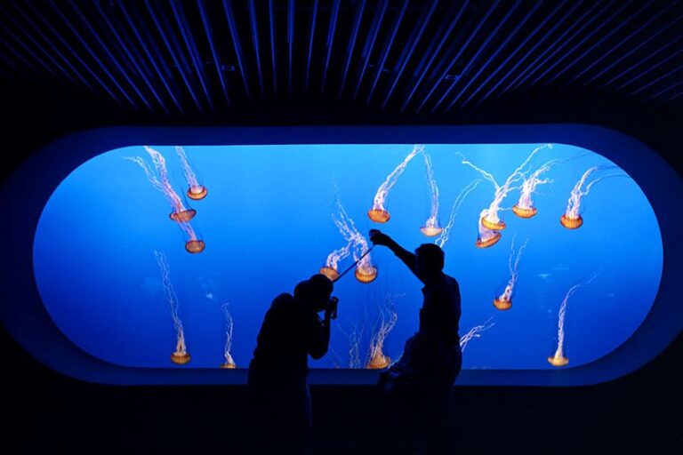 Aquarium Construction and Design