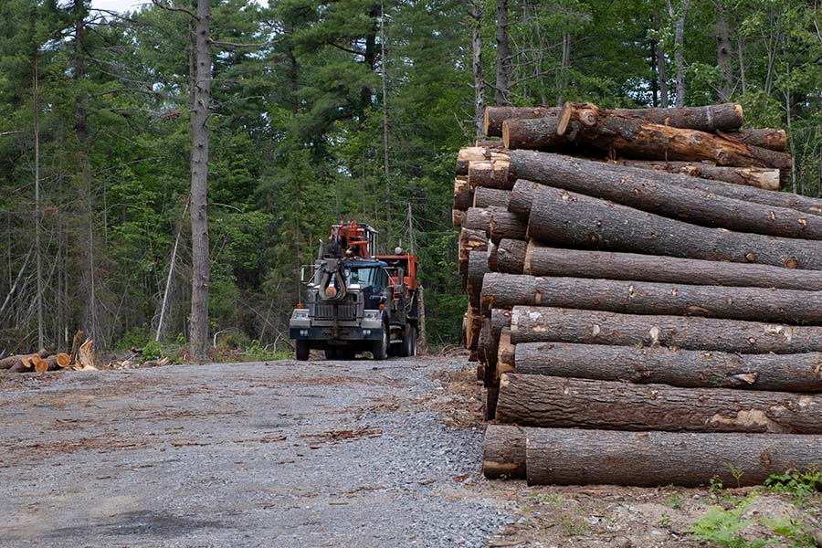 Lumber Prices End of 2022