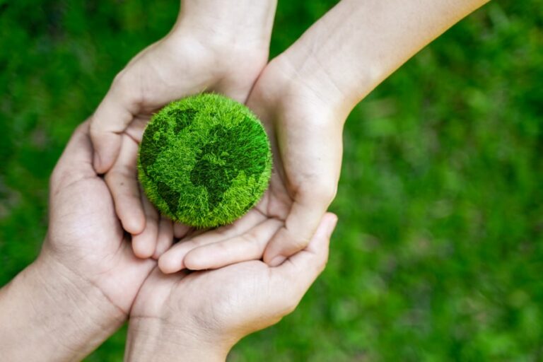 Environmental Sustainability in Construction