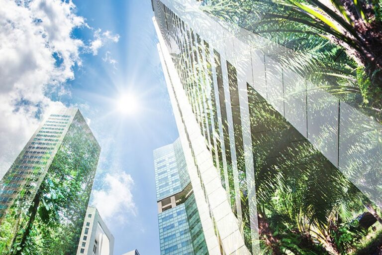 Greenwashing_Feature-1