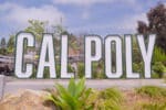Large CAL POLY campus sign surrounded by greenery and blue sky, representing Cal Poly’s construction management program that embeds Bluebeam software into the curriculum to prepare students for digital workflows.