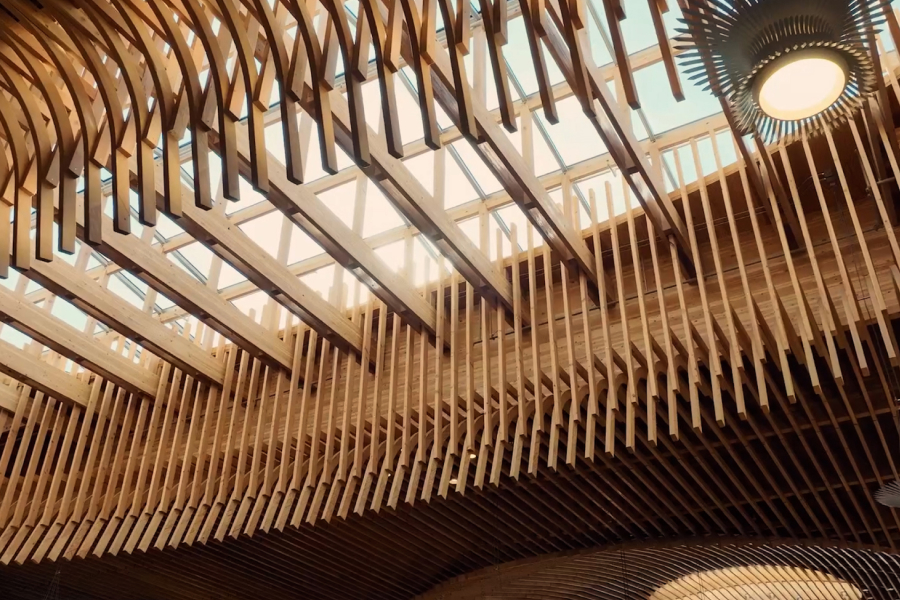 Modern timber ceiling architecture with curved wooden slats and skylights filtering natural daylight, showcasing sustainable mass timber design in a large public interior space.