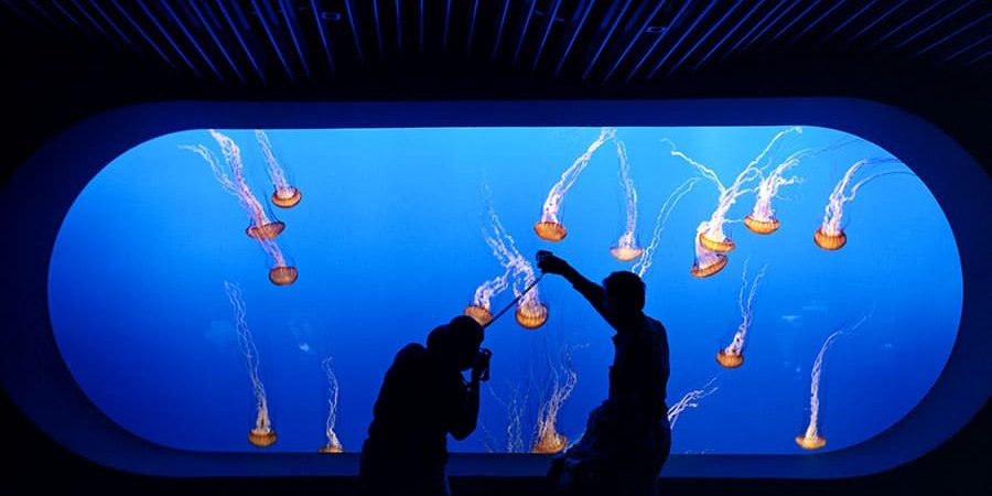 Aquarium Construction and Design