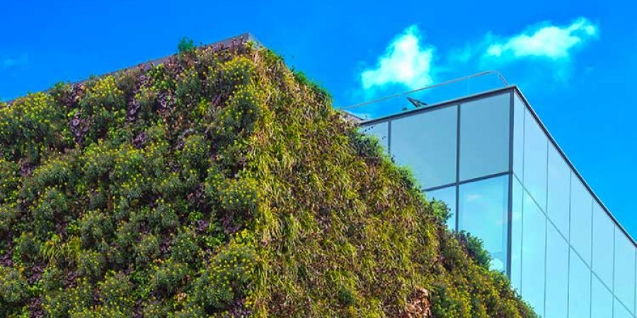 Living-Walls-Feature