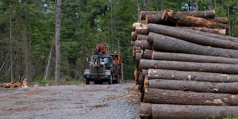 Lumber Prices End of 2022