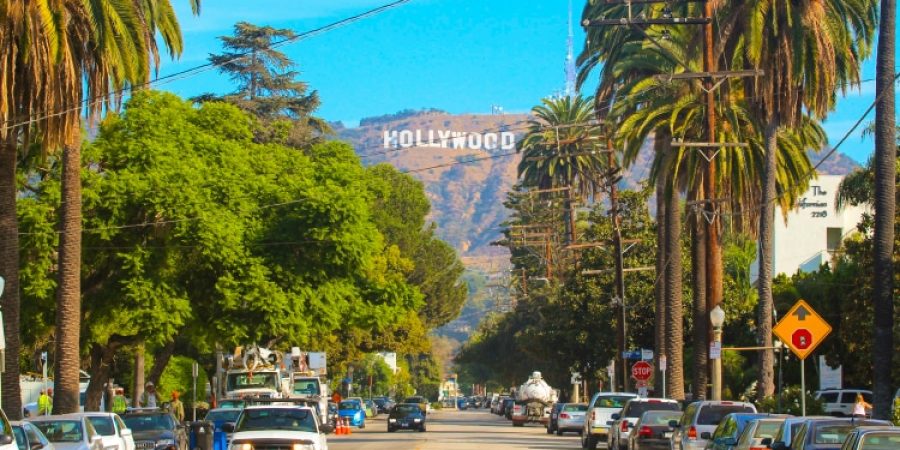 A tree-lined street in Los Angeles, California